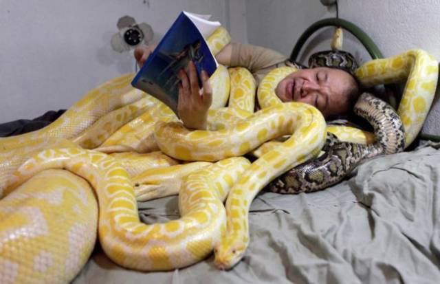 Morning Picdump