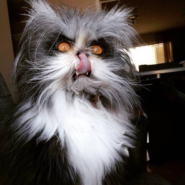 Morning Picdump