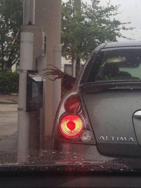 Morning Picdump