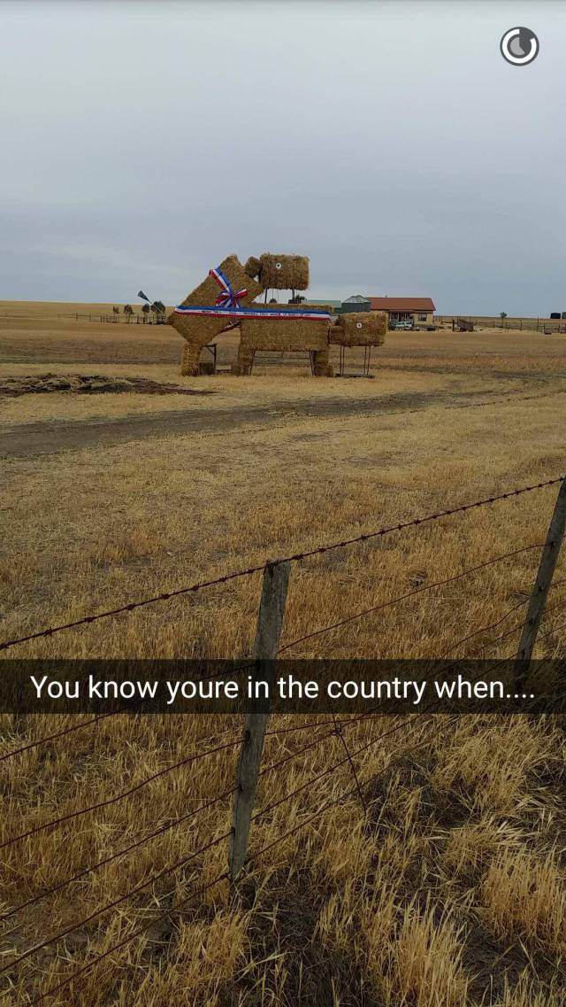 Morning Picdump