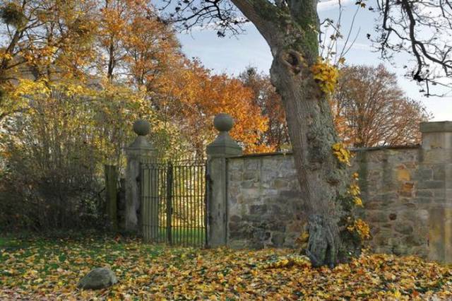 Can You Spot the Naked Woman in This Photo?