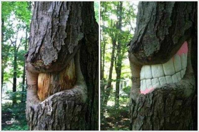 Daily Picdump