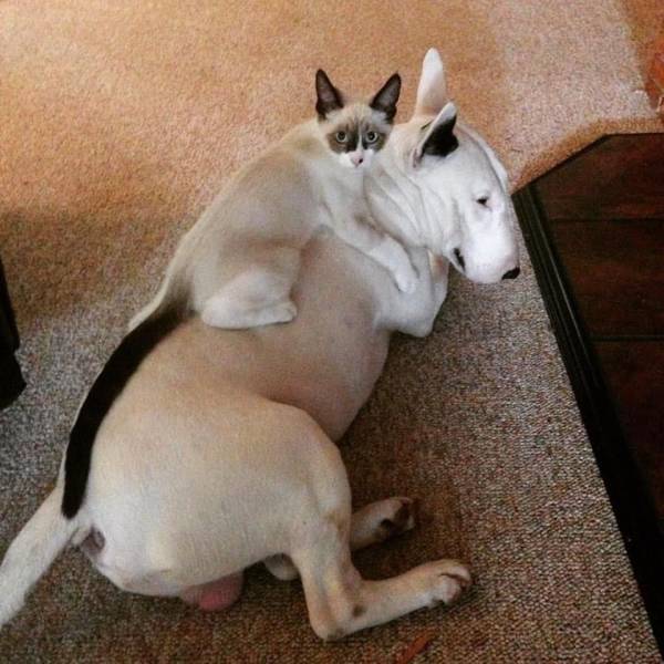 Daily Picdump