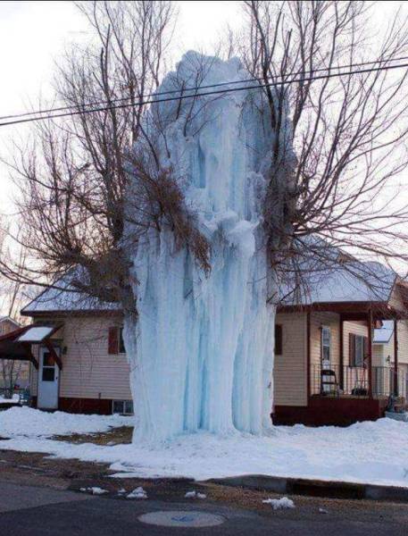 Daily Picdump