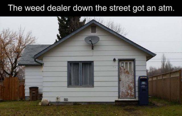 Daily Picdump