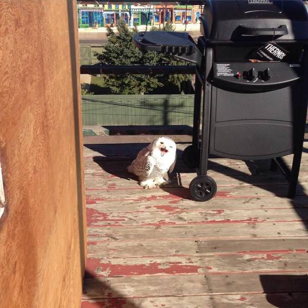 Daily Picdump