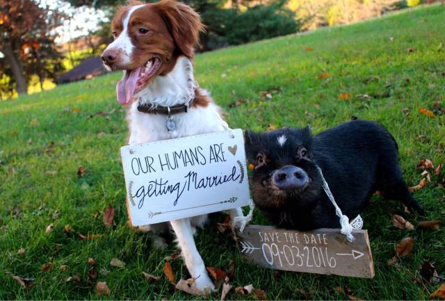 Daily Picdump