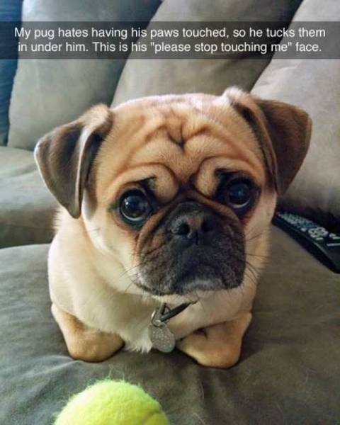 Daily Picdump