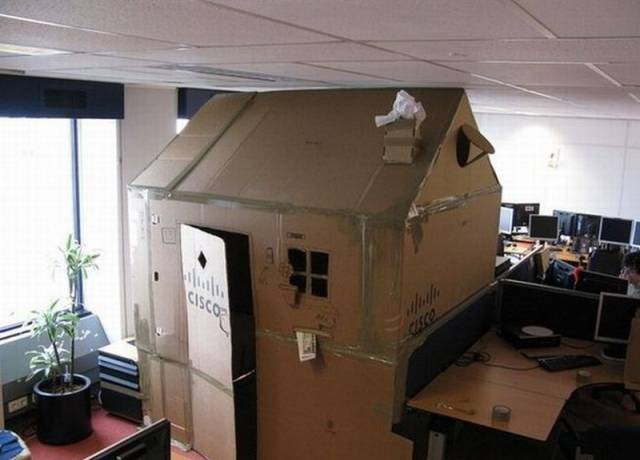 Daily Picdump