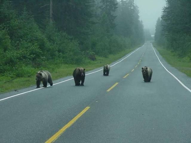 Daily Picdump