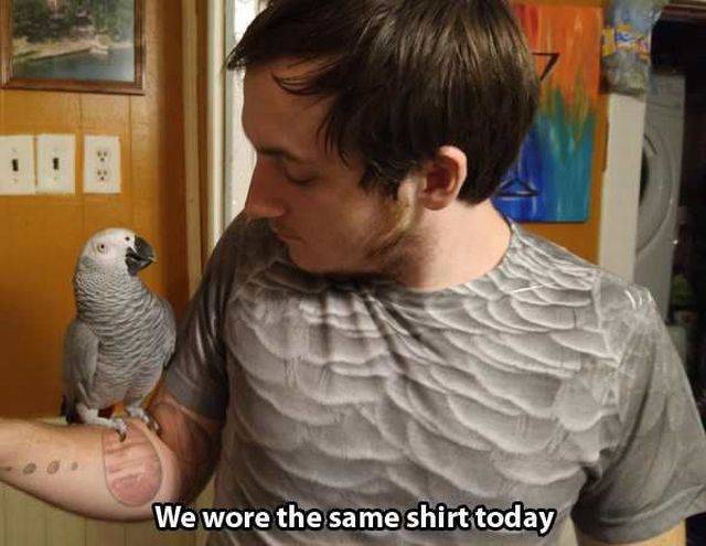Content Image