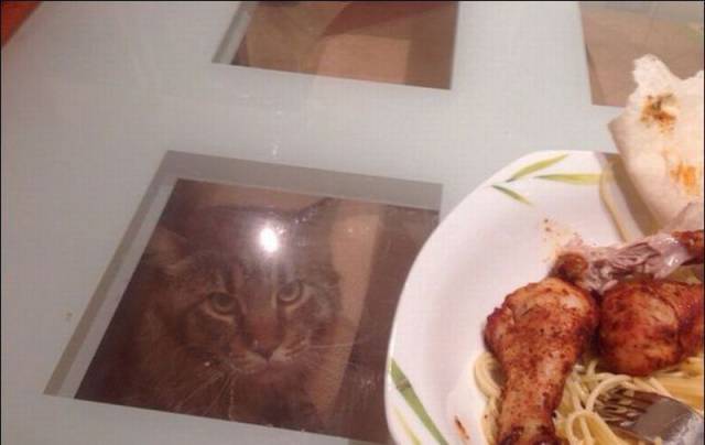 Content Image