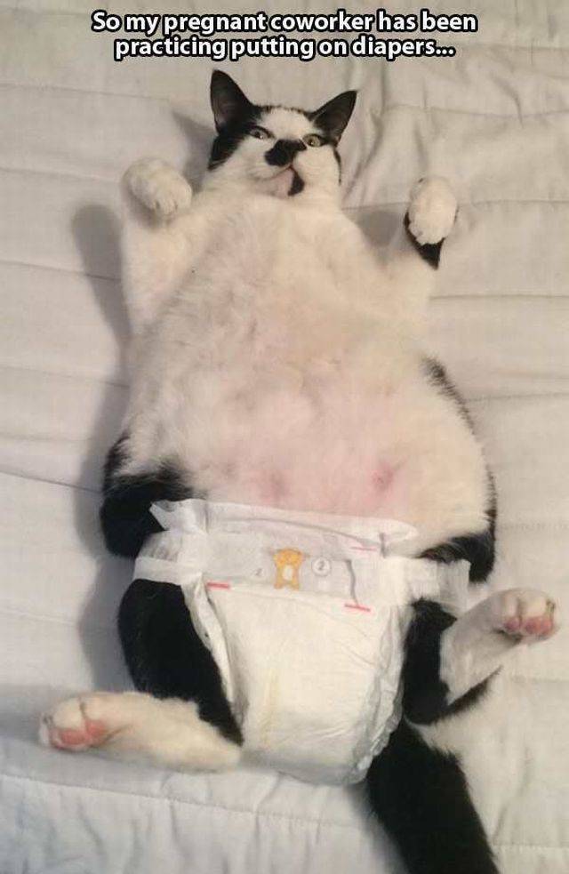 Daily Picdump