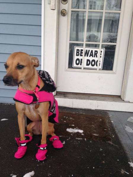 Morning Picdump