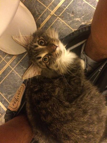 Morning Picdump