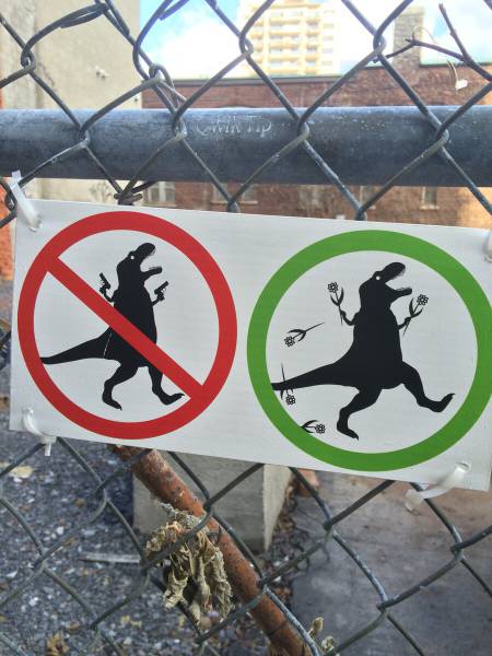 Morning Picdump