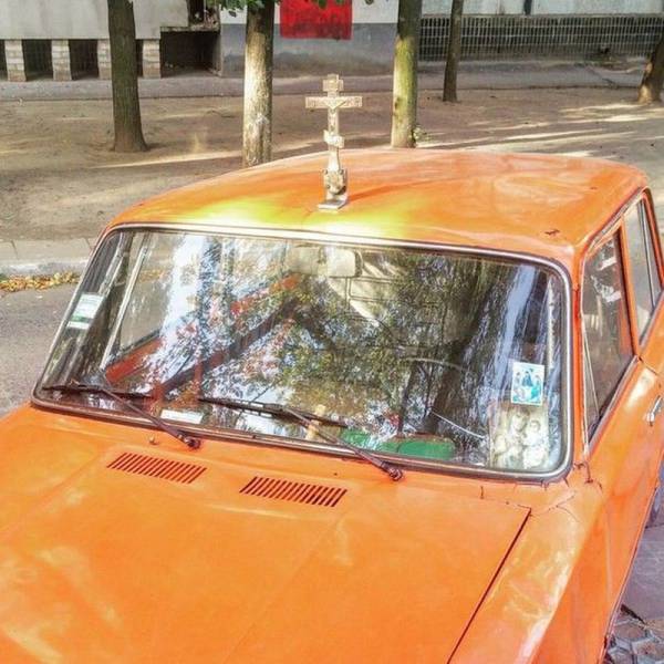 Daily Picdump