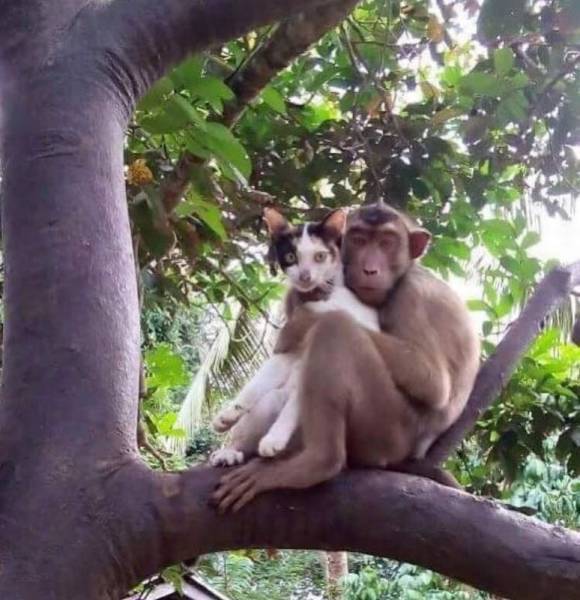 Daily Picdump