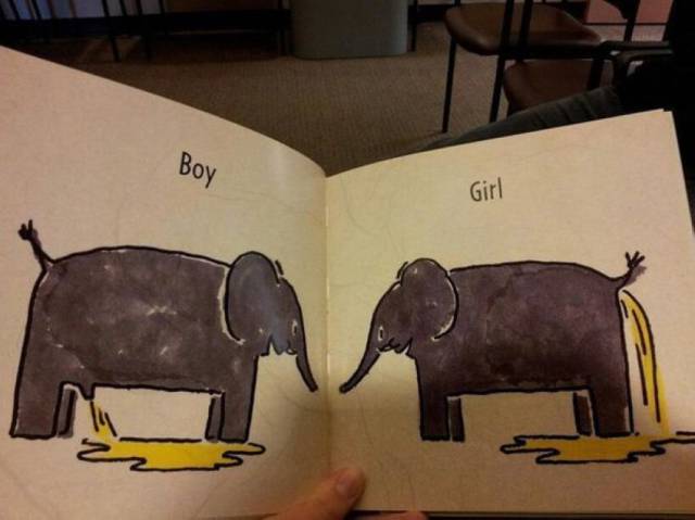 Daily Picdump