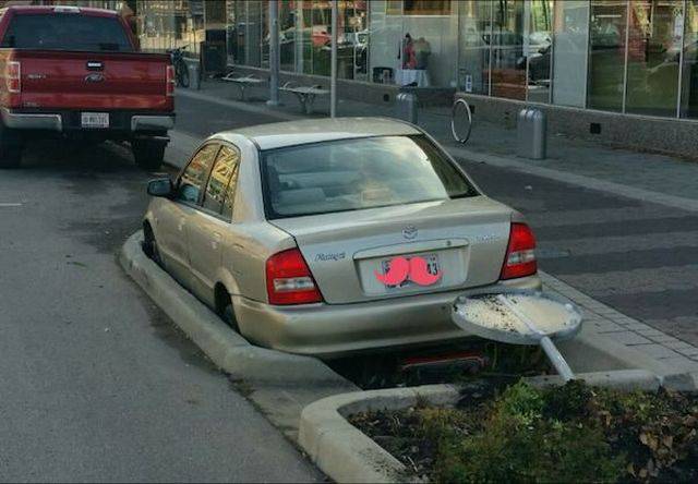 Content Image