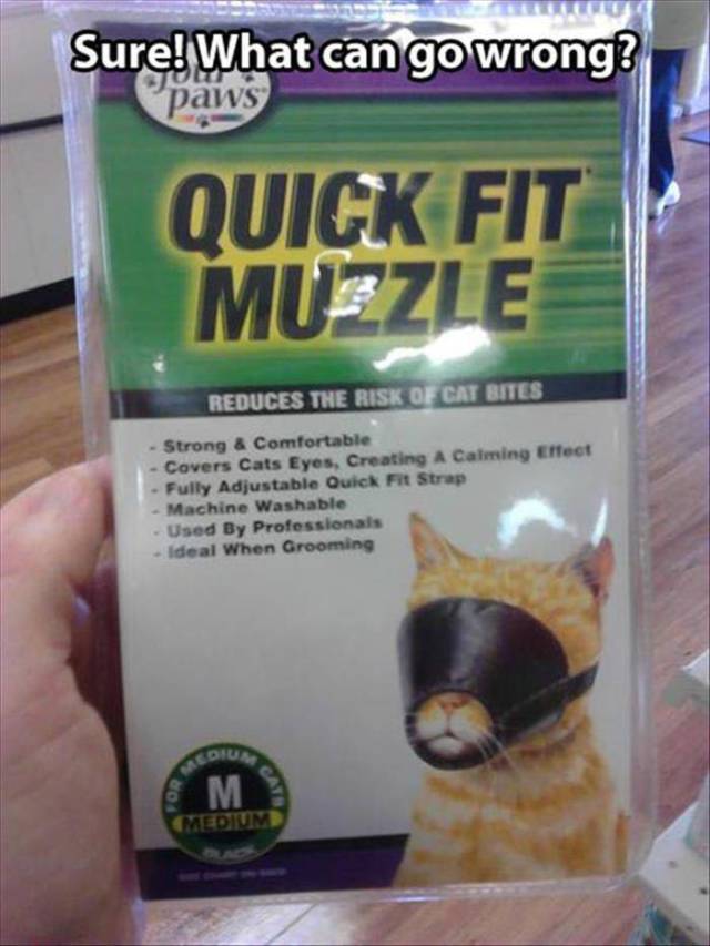 Content Image