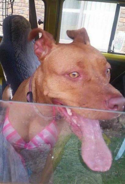 Morning Picdump