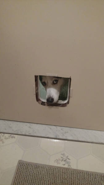 Content Image