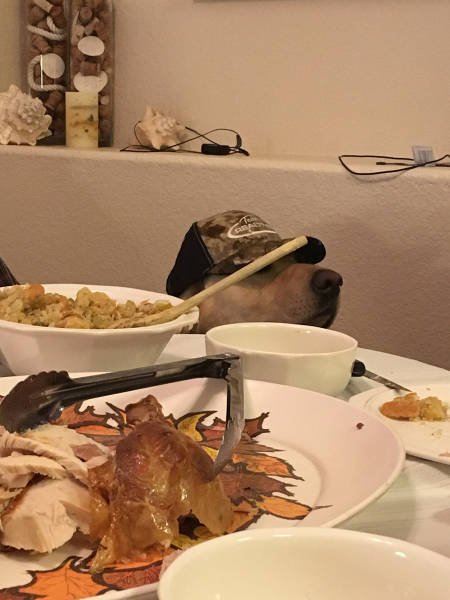 Content Image