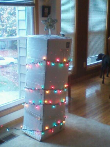 Morning Picdump