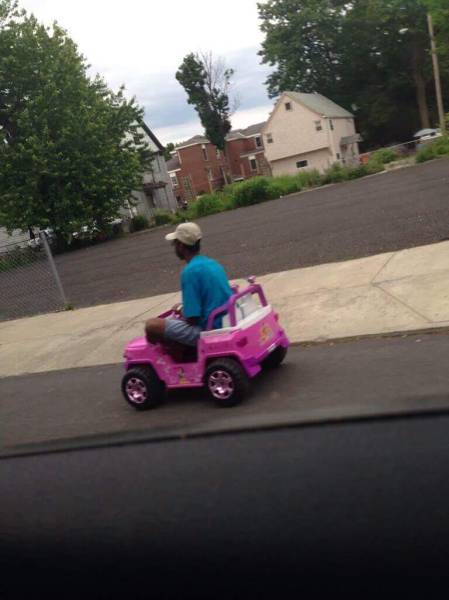 Morning Picdump