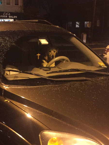 Morning Picdump