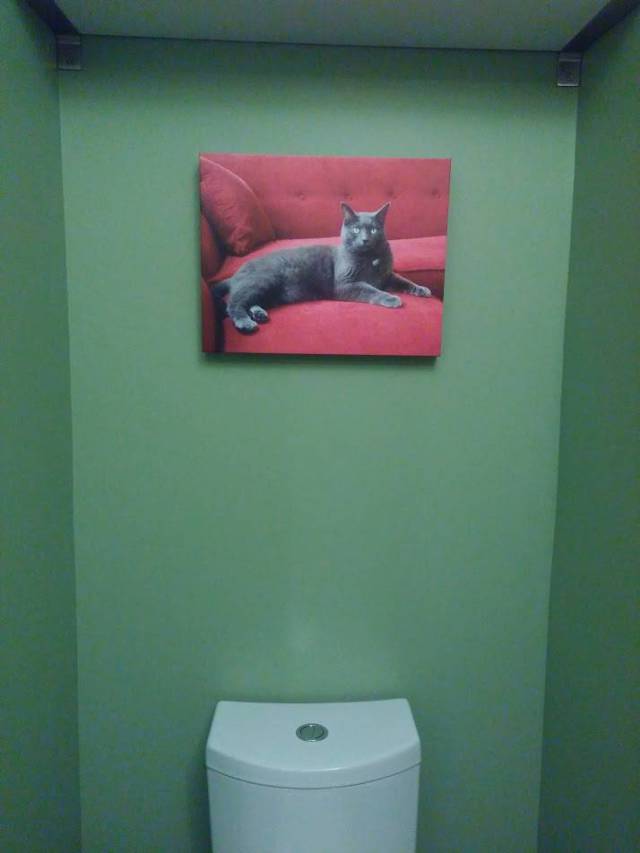 Morning Picdump