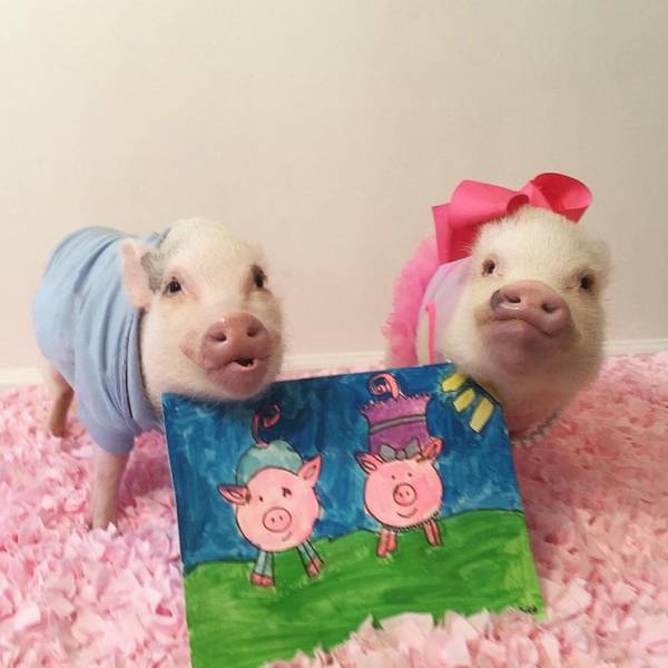 Morning Picdump