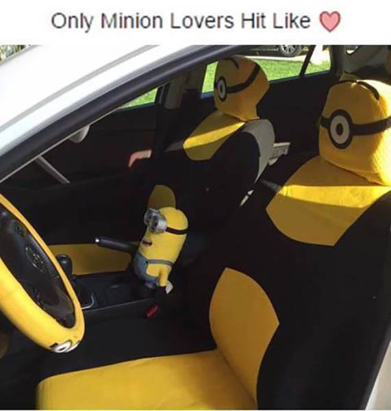 Morning Picdump