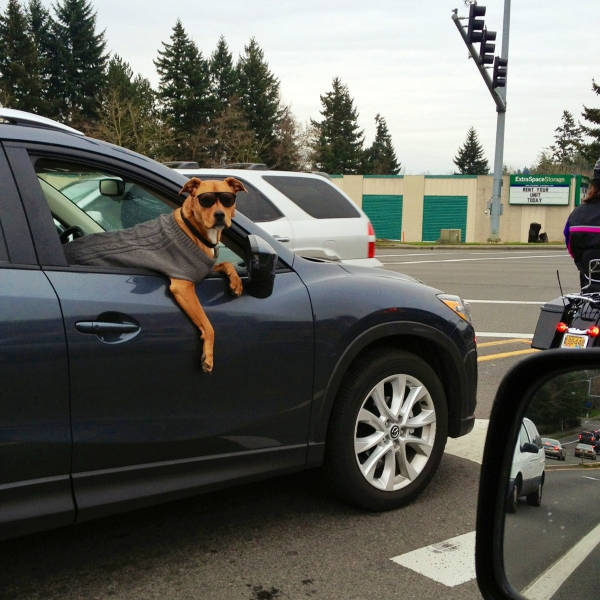 Content Image