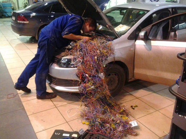 Morning Picdump