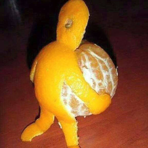 Morning Picdump