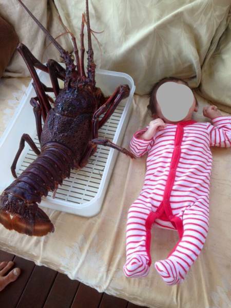 Morning Picdump