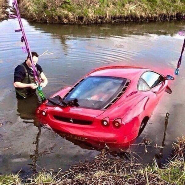 Morning Picdump