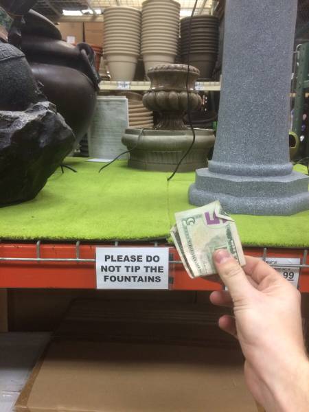 Morning Picdump