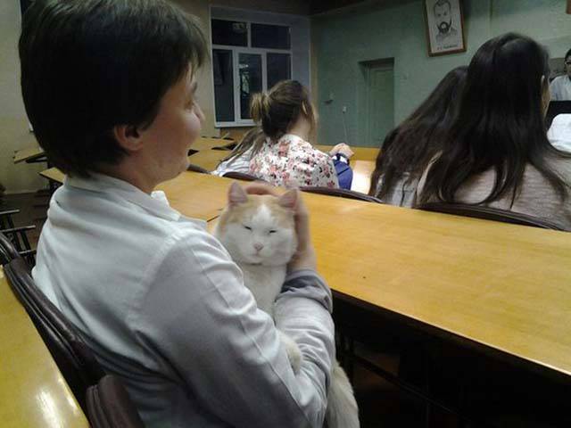 Morning Picdump
