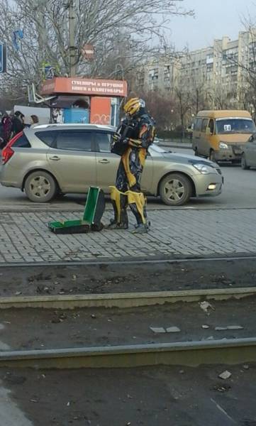 Morning Picdump