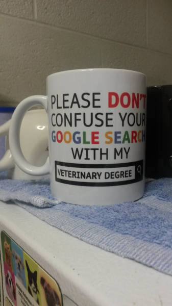 Morning Picdump