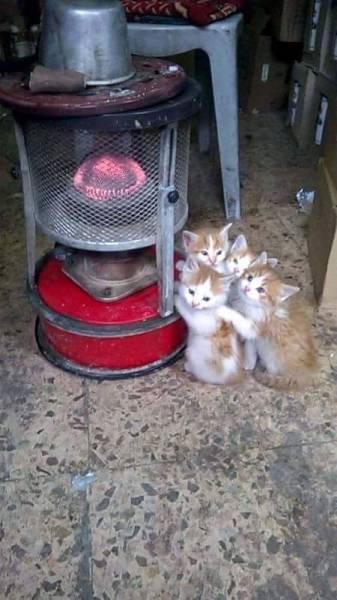 Morning Picdump