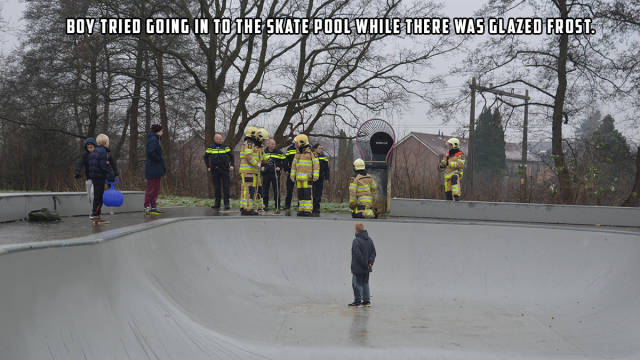 Morning Picdump