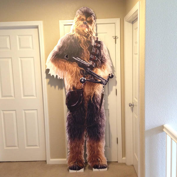 Content Image