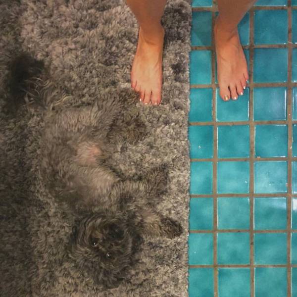 Morning Picdump