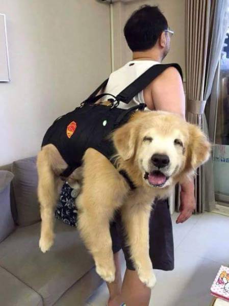 Morning Picdump