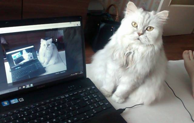 Morning Picdump