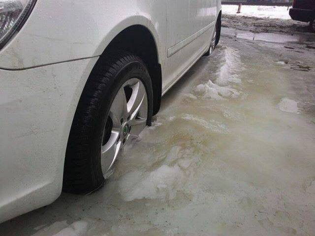 Content Image